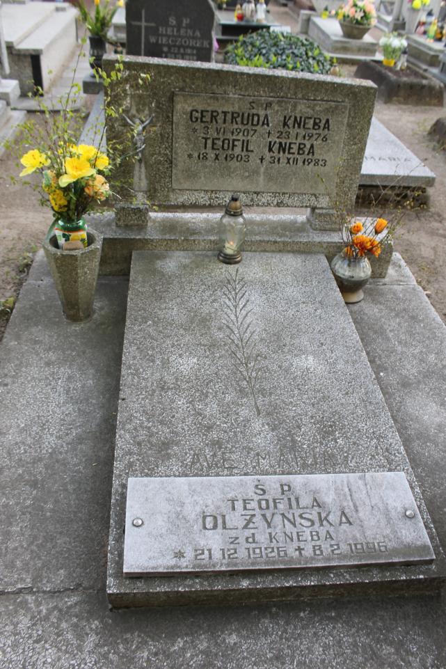 Teofila Olżyńska 1926 Starogard Gdański ś. Mateusza - Grobonet - Wyszukiwarka osób pochowanych