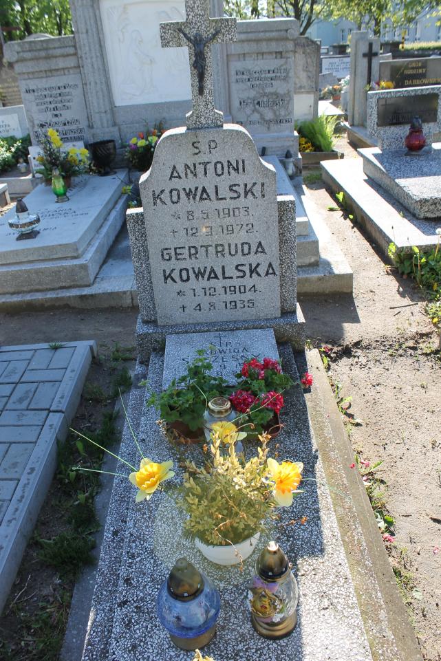 Józef Szczęsny 1931 Starogard Gdański ś. Mateusza - Grobonet - Wyszukiwarka osób pochowanych