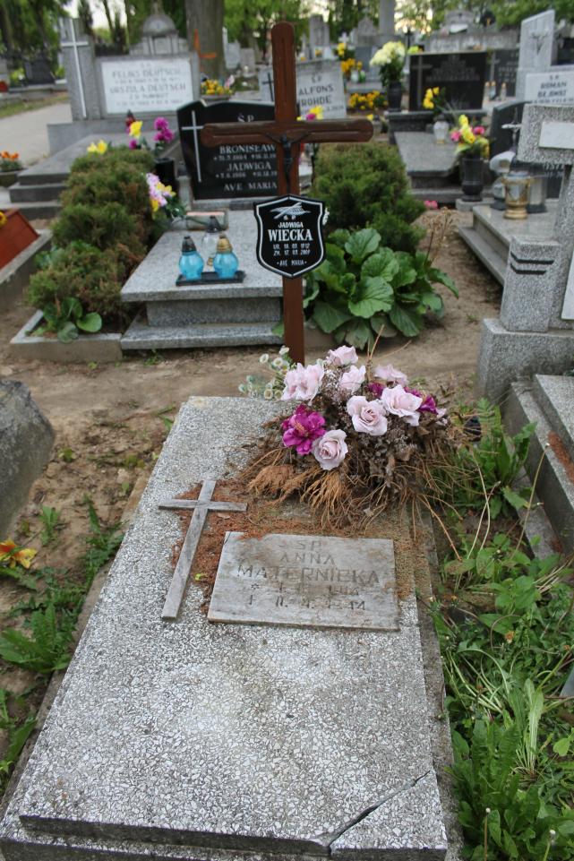 Anna Maternicka 1904 Starogard Gdański ś. Mateusza - Grobonet - Wyszukiwarka osób pochowanych