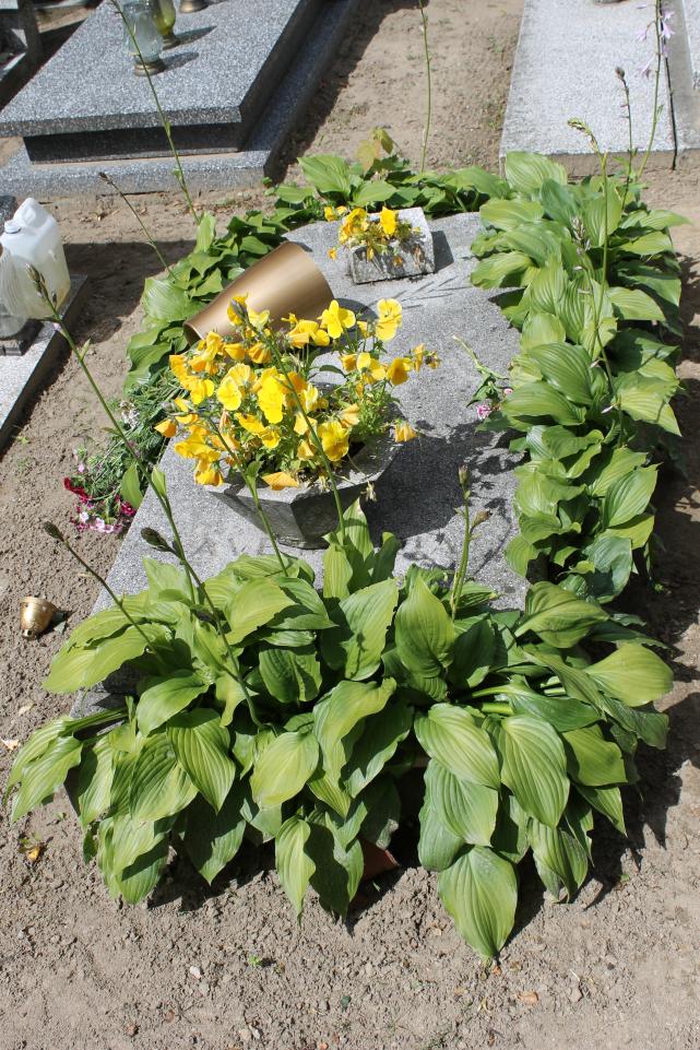 Grzegorz Galewski 1955 Starogard Gdański ś. Mateusza - Grobonet - Wyszukiwarka osób pochowanych