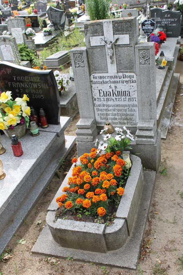 Ewa Kniga 1954 Starogard Gdański ś. Mateusza - Grobonet - Wyszukiwarka osób pochowanych